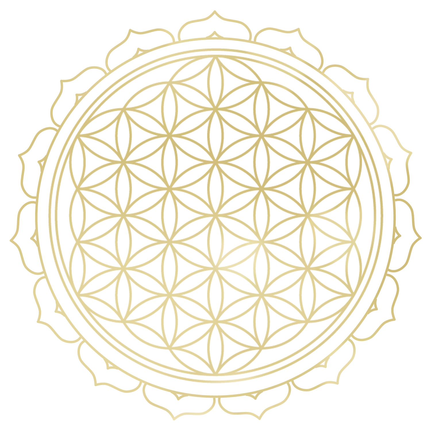 sacred geometry, flower of life, lotus, gold flower of life