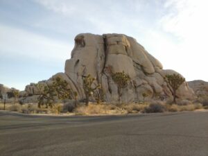 joshua tree, rock climbing, pure joy, do something fun