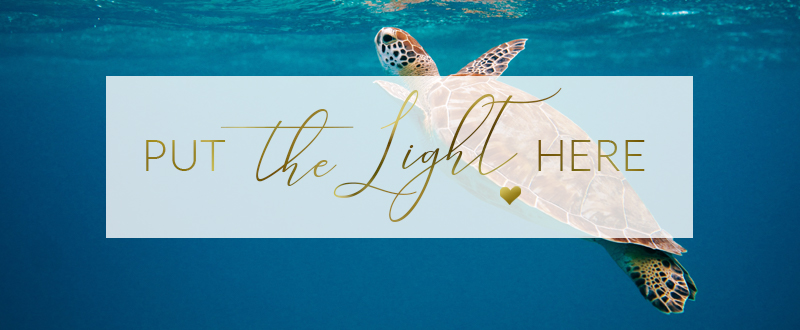 put the light here, ottawa healing, ontario healing, energy healing canada, energy update july 2021